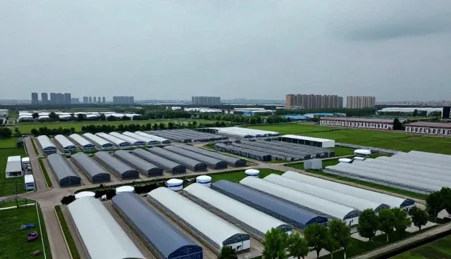 时间管理中的安全保障：包车服务如何提升出行效率
